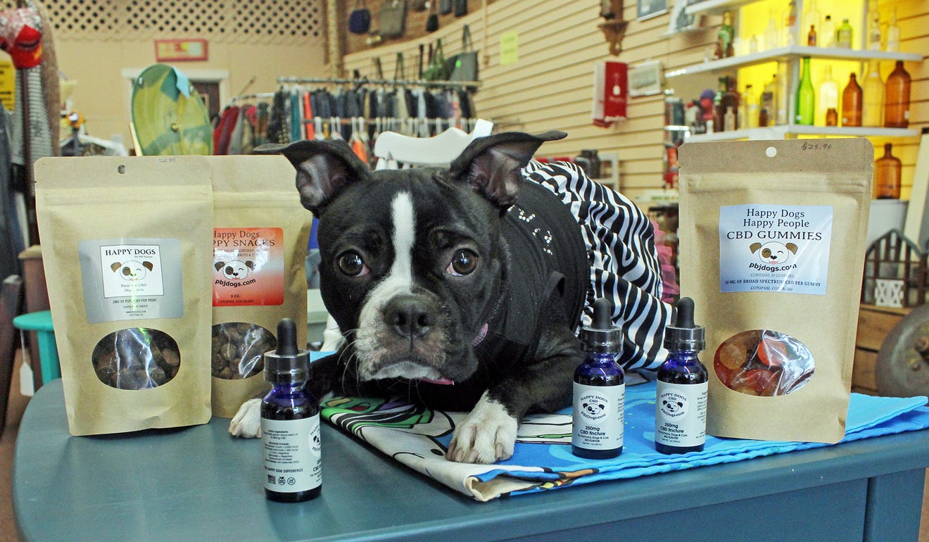 Molly sitting with Happy Dogs CBD products! pbjdogs.com